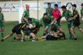 PICT0017